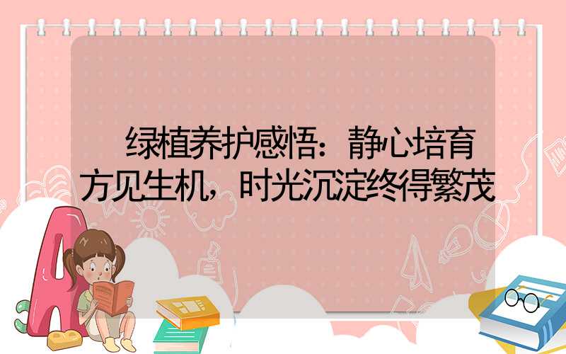  绿植养护感悟：静心培育方见生机，时光沉淀终得繁茂